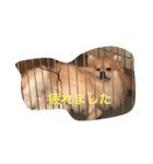ポメラニアンひまわり敬語（個別スタンプ：4）