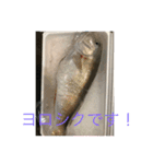 nobukuni（個別スタンプ：8）