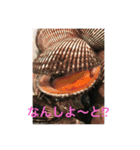 nobukuni2（個別スタンプ：2）