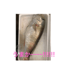 nobukuni2（個別スタンプ：3）