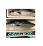 nobukuni2（個別スタンプ：5）