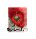 nobukuni2（個別スタンプ：7）
