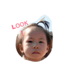 miDaily（個別スタンプ：1）