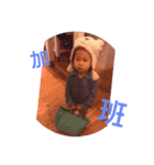 miDaily（個別スタンプ：11）
