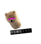 hualien fun（個別スタンプ：2）