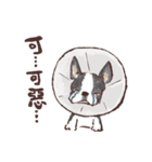 Just dogs！（個別スタンプ：8）