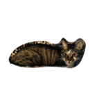cute dogs and cats（個別スタンプ：15）