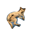 cute dogs and cats（個別スタンプ：27）