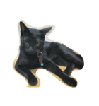cute dogs and cats（個別スタンプ：29）