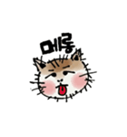 Dirty munchkin（個別スタンプ：1）