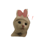 れおチャン大好き❤（個別スタンプ：1）