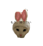 れおチャン大好き❤（個別スタンプ：4）