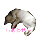 れおチャン大好き❤（個別スタンプ：11）