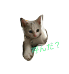 れおチャン大好き❤（個別スタンプ：13）