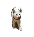 れおチャン大好き❤（個別スタンプ：17）