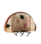 れおチャン大好き❤（個別スタンプ：19）