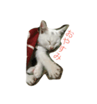 れおチャン大好き❤（個別スタンプ：24）