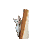 れおチャン大好き❤（個別スタンプ：28）