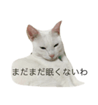れおチャン大好き❤（個別スタンプ：30）