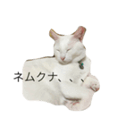 れおチャン大好き❤（個別スタンプ：31）