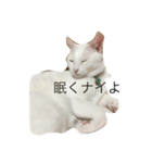 れおチャン大好き❤（個別スタンプ：32）