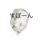 れおチャン大好き❤（個別スタンプ：38）