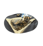 Very GY cat（個別スタンプ：2）