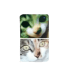 Very GY cat（個別スタンプ：6）