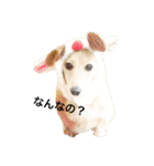 ♡ココちゃん♡（個別スタンプ：12）