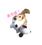 ♡ココちゃん♡（個別スタンプ：16）