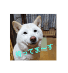 kuta's stamp（個別スタンプ：3）