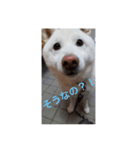 kuta's stamp（個別スタンプ：5）