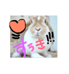 にいなさん（個別スタンプ：3）
