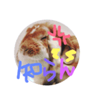 にいなさん（個別スタンプ：5）