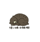Here comes the Chubby Bro'Bear（個別スタンプ：16）