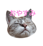 まろんの日常★（個別スタンプ：12）
