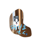 中野家 ゆず2（個別スタンプ：4）