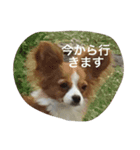 中野家 ゆず2（個別スタンプ：7）