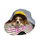 中野家 ゆず2（個別スタンプ：8）