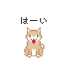 ドットでいぬ（個別スタンプ：1）