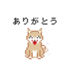 ドットでいぬ（個別スタンプ：2）