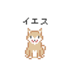 ドットでいぬ（個別スタンプ：3）