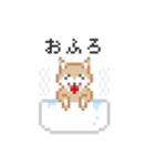 ドットでいぬ（個別スタンプ：33）