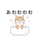 ドットでいぬ（個別スタンプ：34）