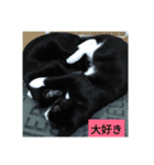 bura＆hathi（個別スタンプ：6）