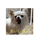 ティアちゃん/たいよう作（個別スタンプ：5）