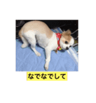 クーさんの日常2（個別スタンプ：7）