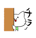 センスのないTシャツの猫（個別スタンプ：16）