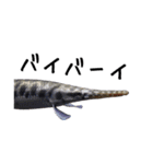 みんなの古代魚、熱帯魚（個別スタンプ：4）