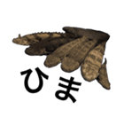 みんなの古代魚、熱帯魚（個別スタンプ：35）